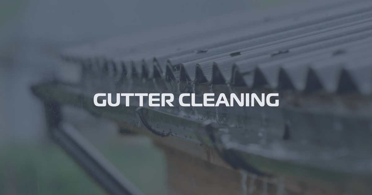 Expert Gutter Cleaning in Surrey, Langley & Vancouver Cleanology